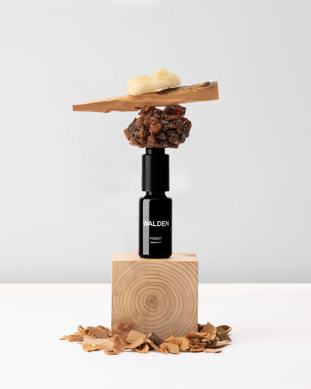 FOREST | Walden x Bio Alchemy – Bio Alchemy Olfactive