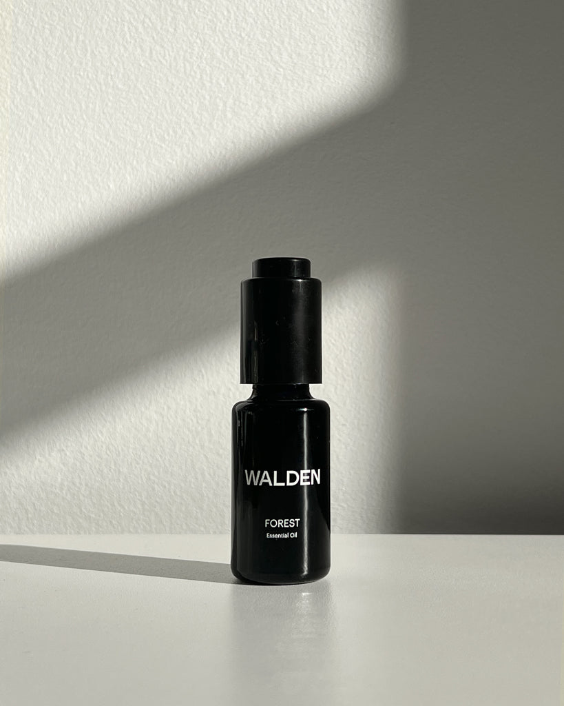 Walden_Forest_1024x1024.jpg?v=